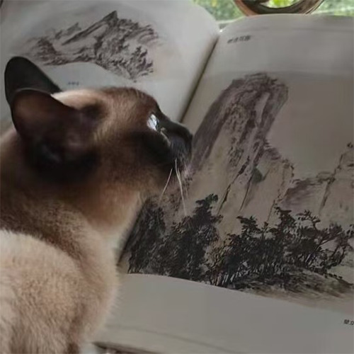 Xiaqiu Lin