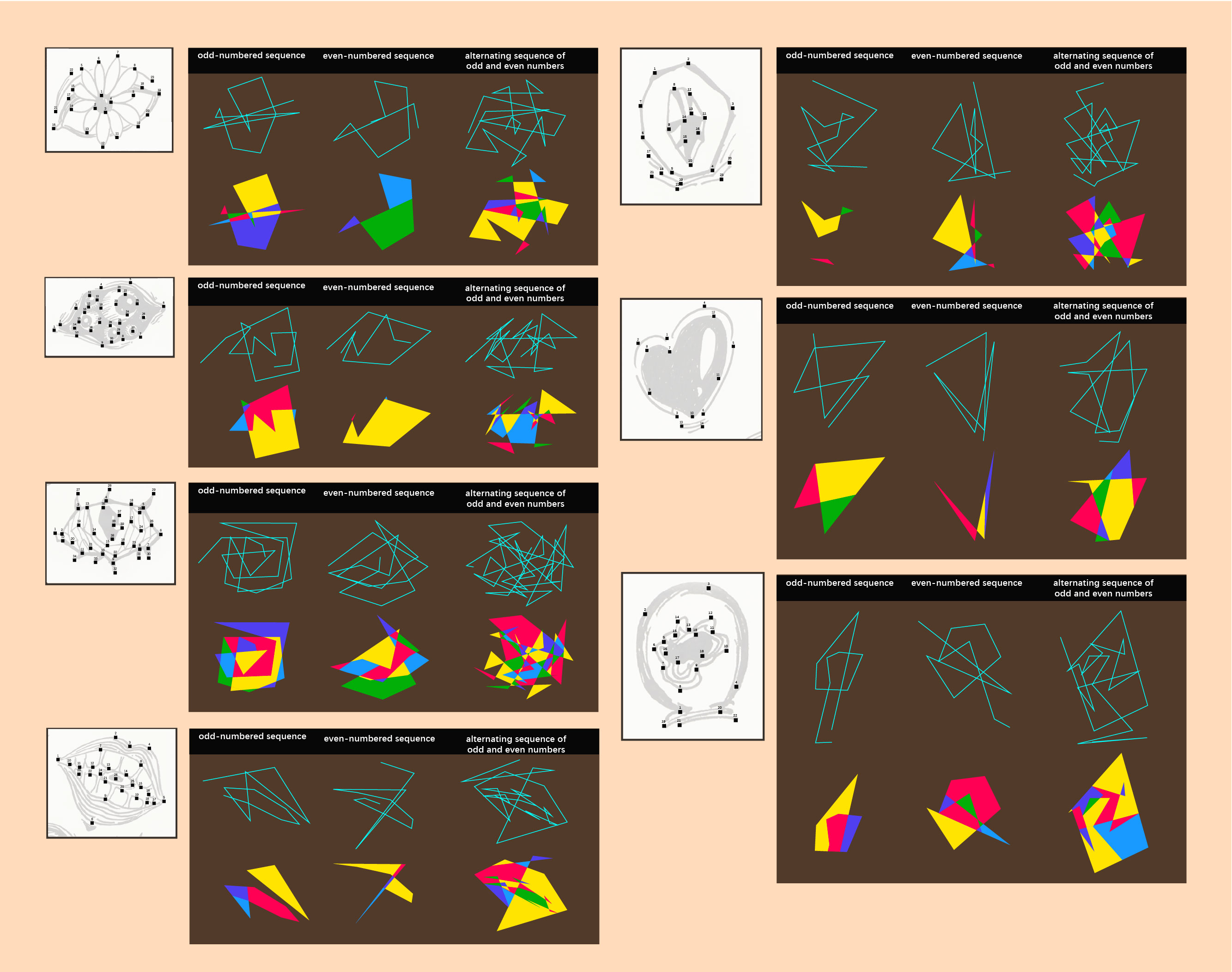 Project 1 Image 3