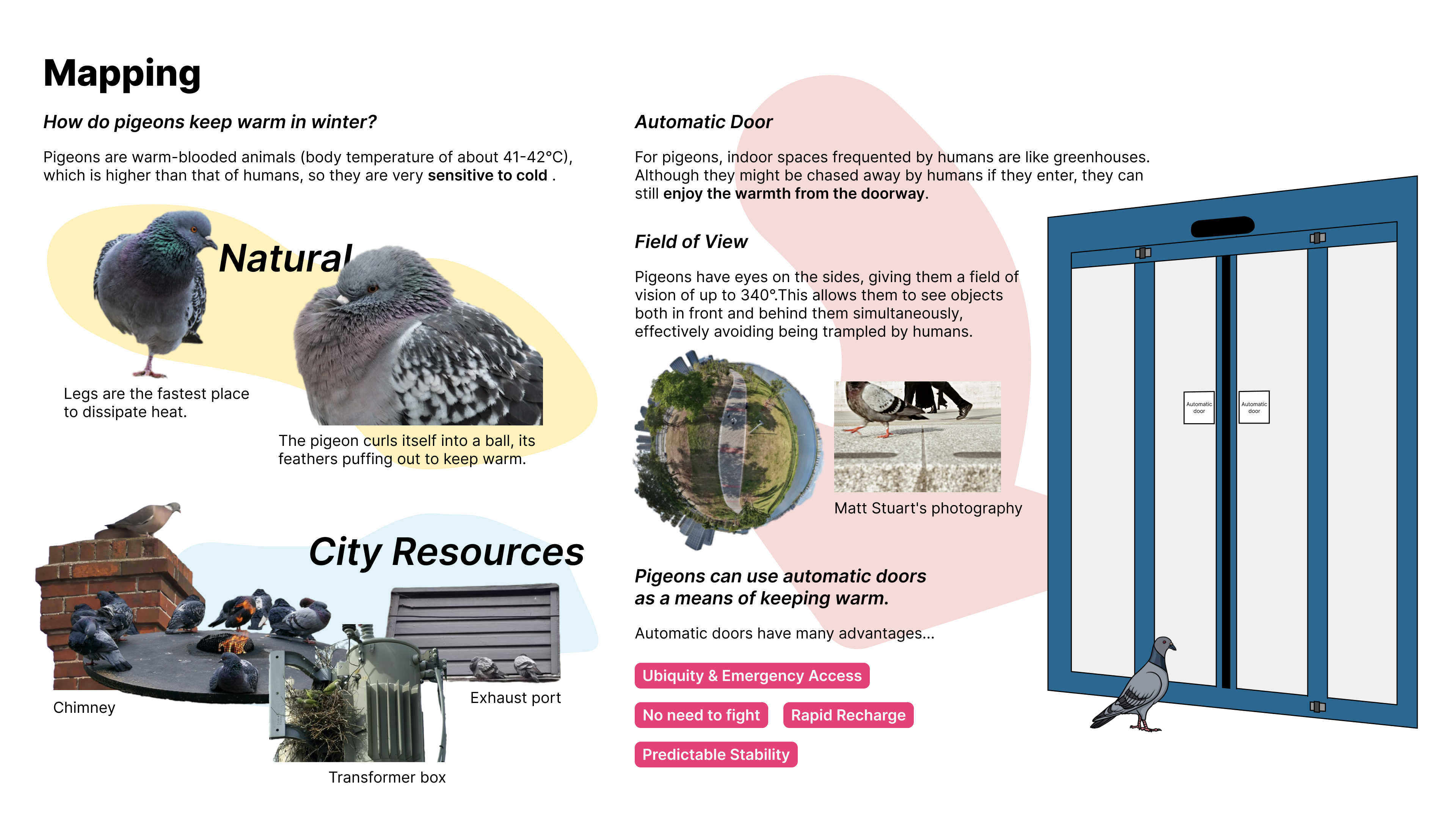 My amazing website - Li Xuebing